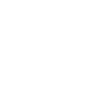 Mattel